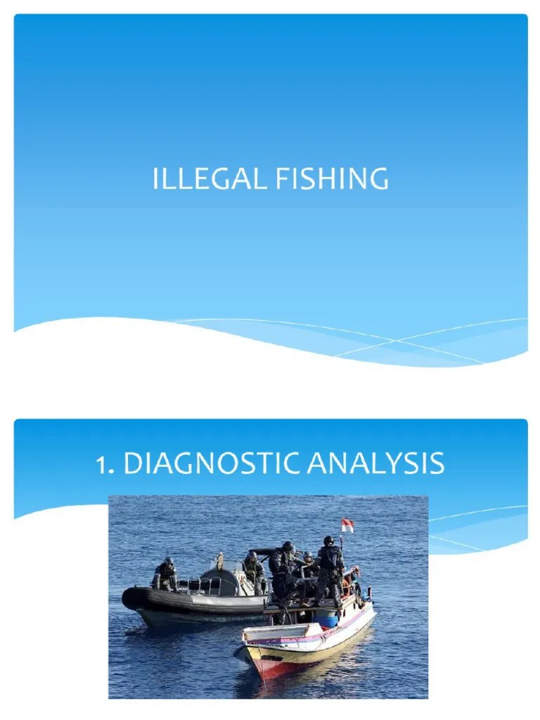 Illegal Fishing | PDF