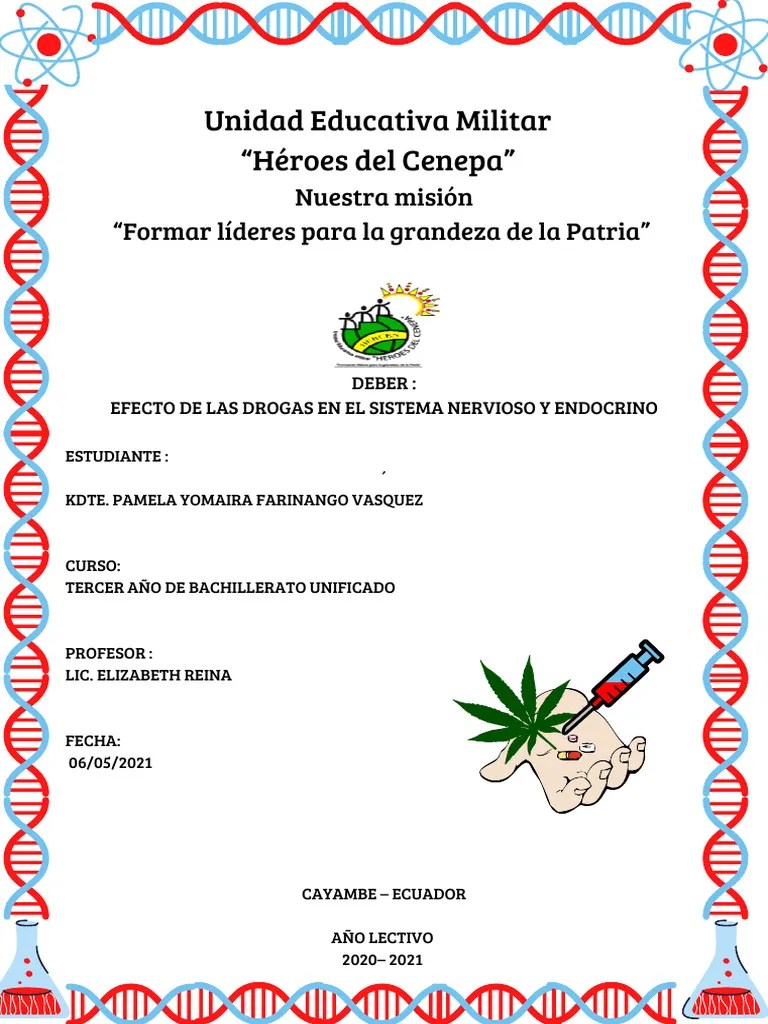 Efecto De Las Drogas En El Sistema Nervioso Y Endocrino | PDF | Drogas | Alucinógeno