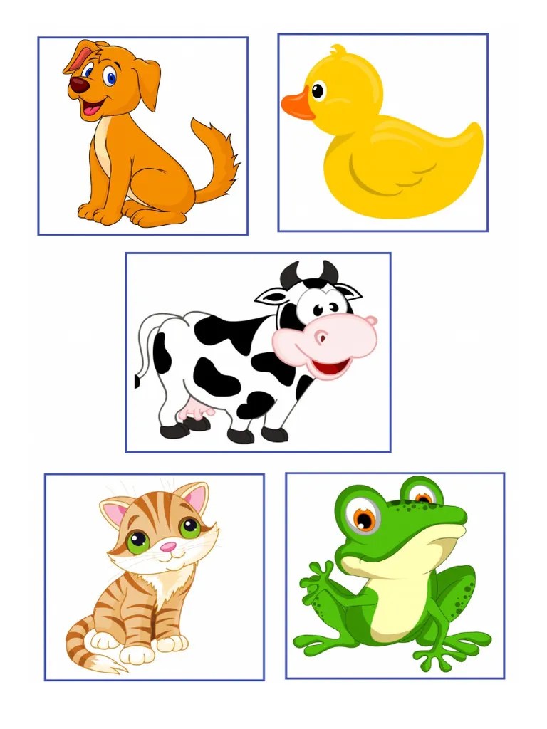 Animais Pdf