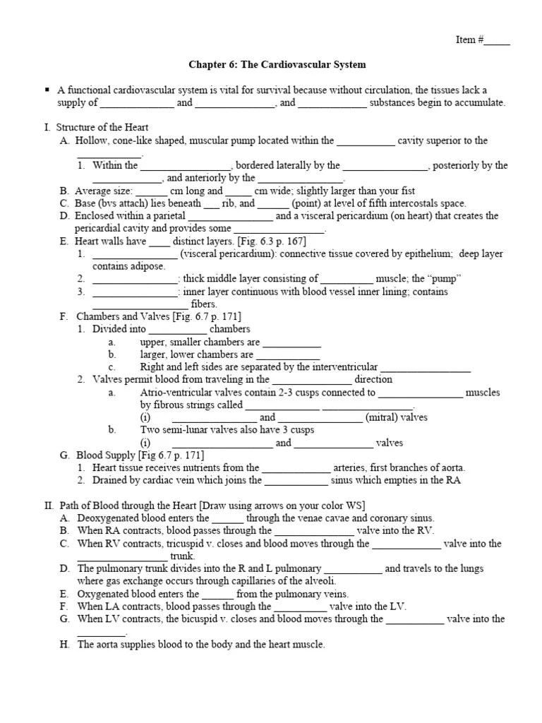 Chapter 6 Notes - Cardio | PDF | Heart | Heart Valve