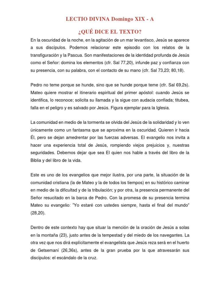 LECTIO DIVINA Domingo XIX | PDF | Jesús | Evangelio De Mateo