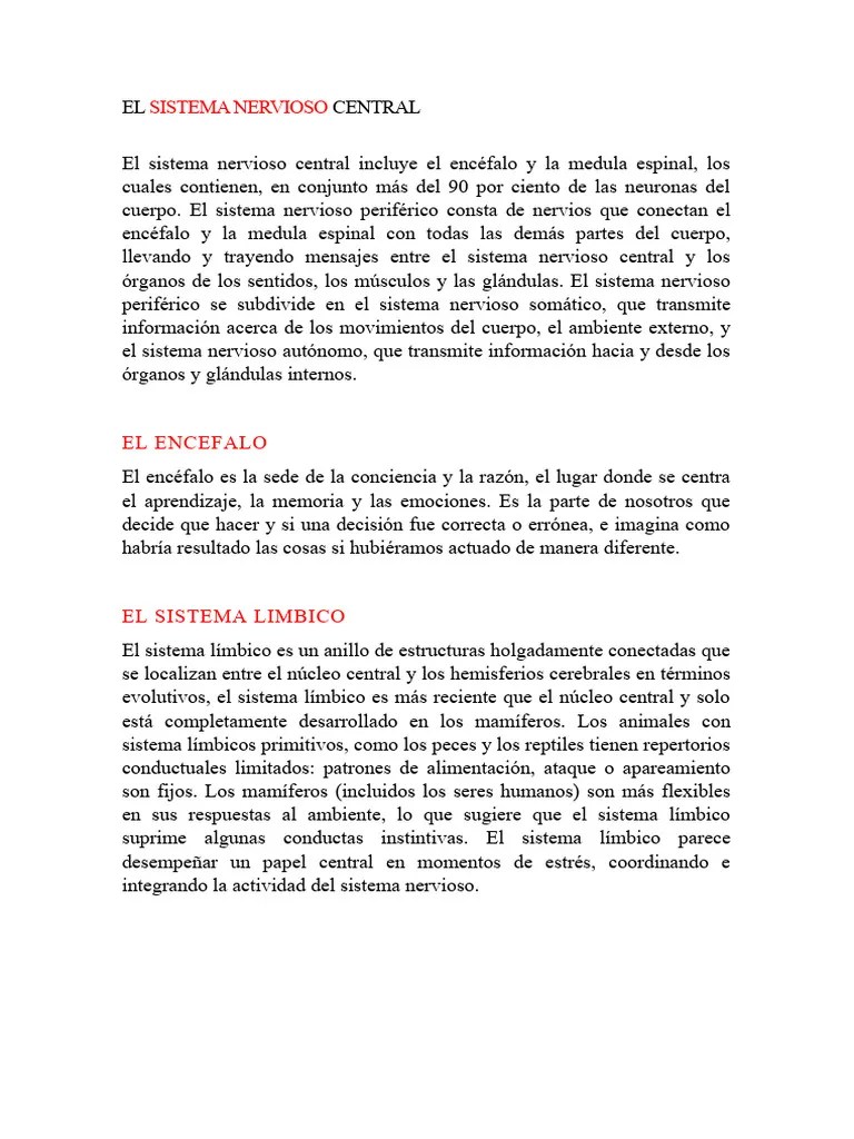 El Sistema Nervioso Central | PDF | Cerebro | Sistema Nervioso