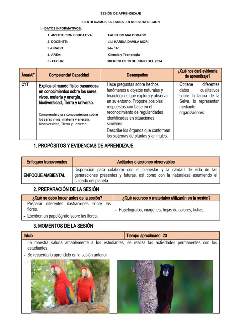 Sesio N De La Fauna De La Costa | Descargar Gratis PDF | Aprendizaje ...