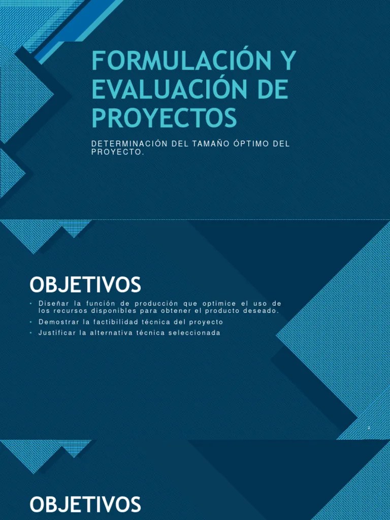 Formulación Y Evaluación De Proyectos | PDF | Transporte | Agua