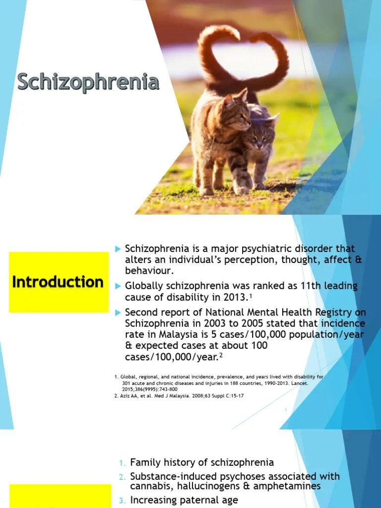 Schizophrenia | Download Free PDF | Schizophrenia | Psychotherapy