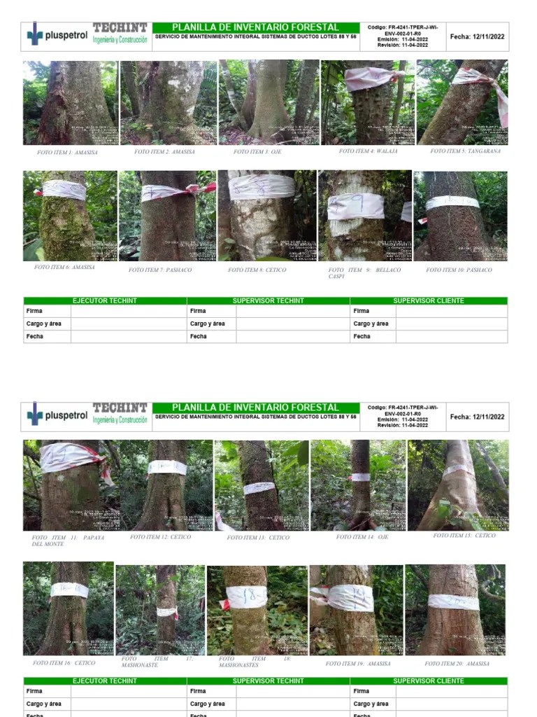 10.06.23 Planilla De Inventario Forestal - NUEVO HP 1X | PDF
