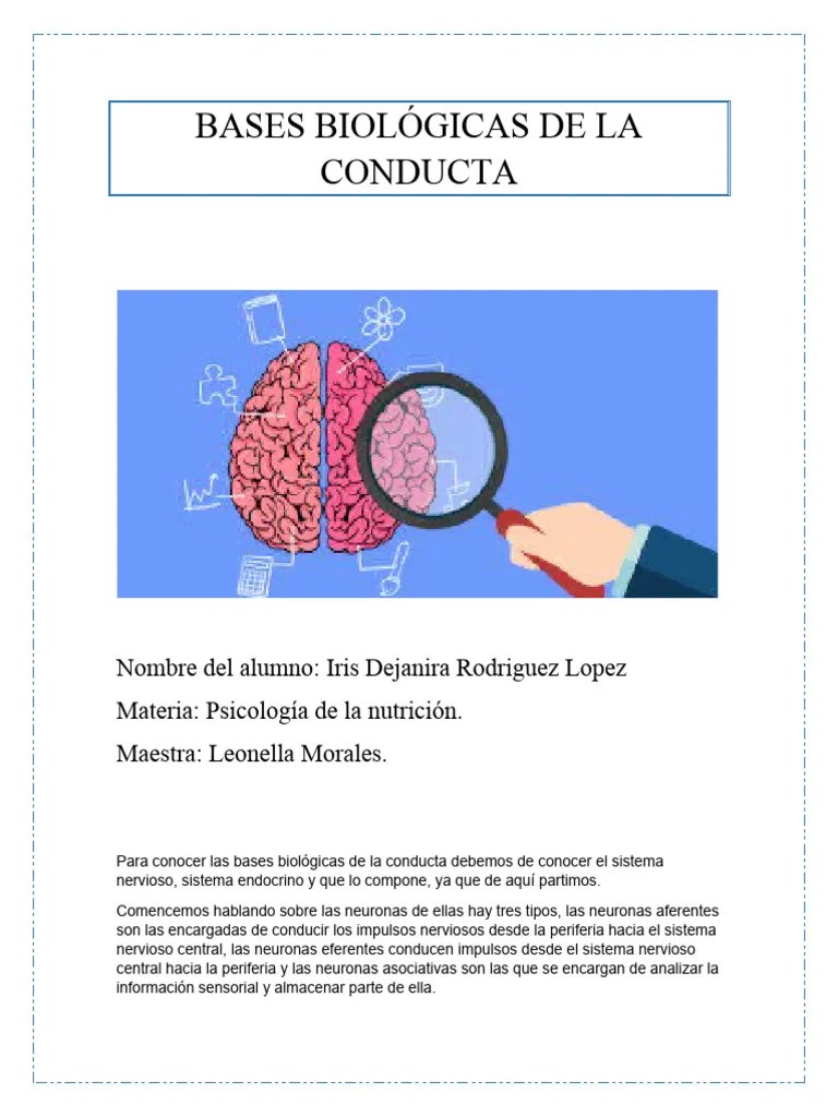 BASES BIOLÓGICAS DE LA CONDUCTA | PDF | Sistema Nervioso | Neurona