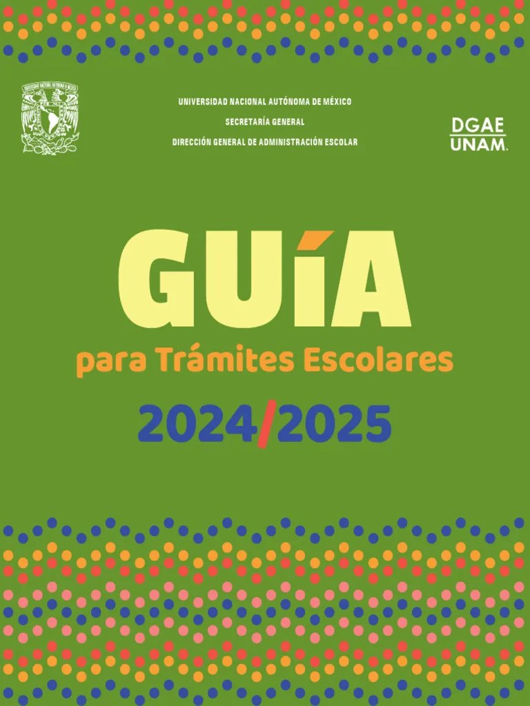 Manual Otros Tipos Ingreso 2024 | PDF | Ingeniería | Informática