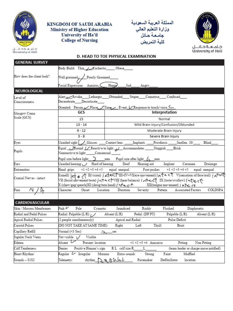 Physical Assessment Guidelines | PDF | Clinical Medicine | Neuroscience