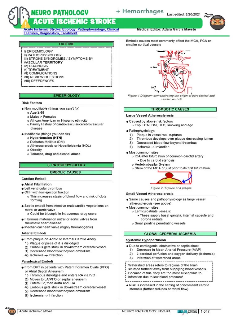 Stroke And Hemorrhages | PDF | Stroke | Embolism