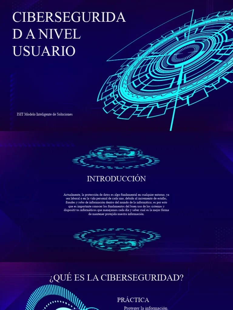 Capacitación Ciberseguridad | PDF | Malware | Seguridad