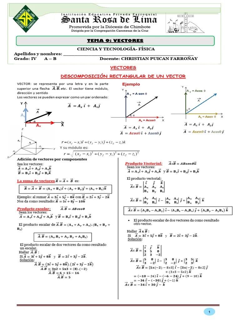 Vectores | PDF | Vector Euclidiano | Escalar (Matemáticas)