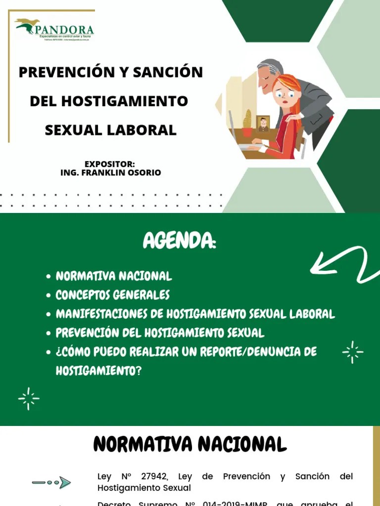 2024 - Prevención Y Sanción Del Hostigamiento Sexual Laboral | PDF | Acoso | Acoso Sexual