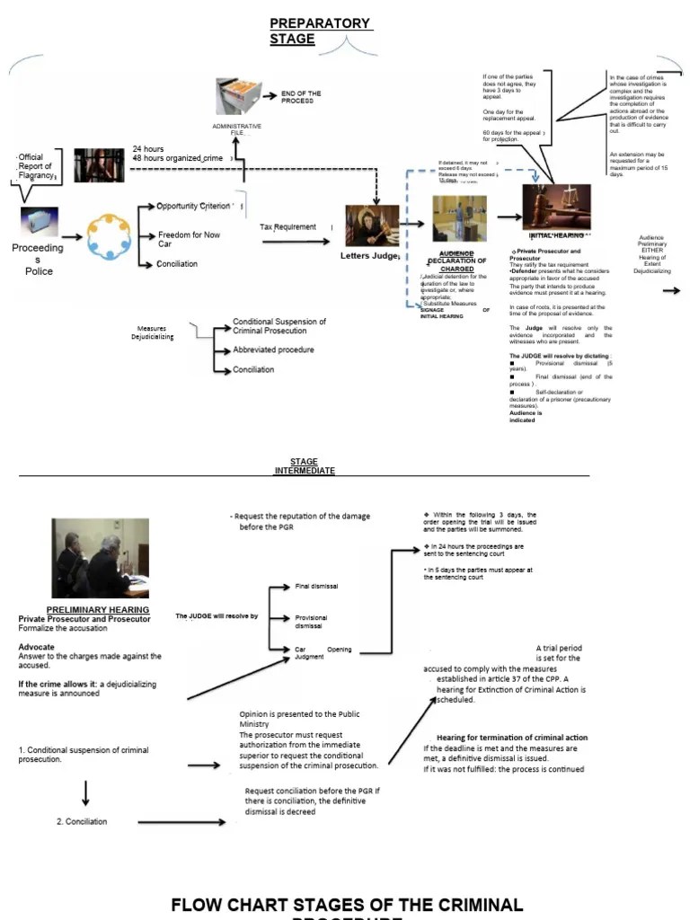Flow Chart Stages Criminal Process | PDF | Prosecutor | Trials