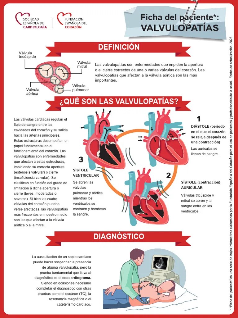Ficha Valvulopatias | PDF | Corazón | Ventrículo (corazón)