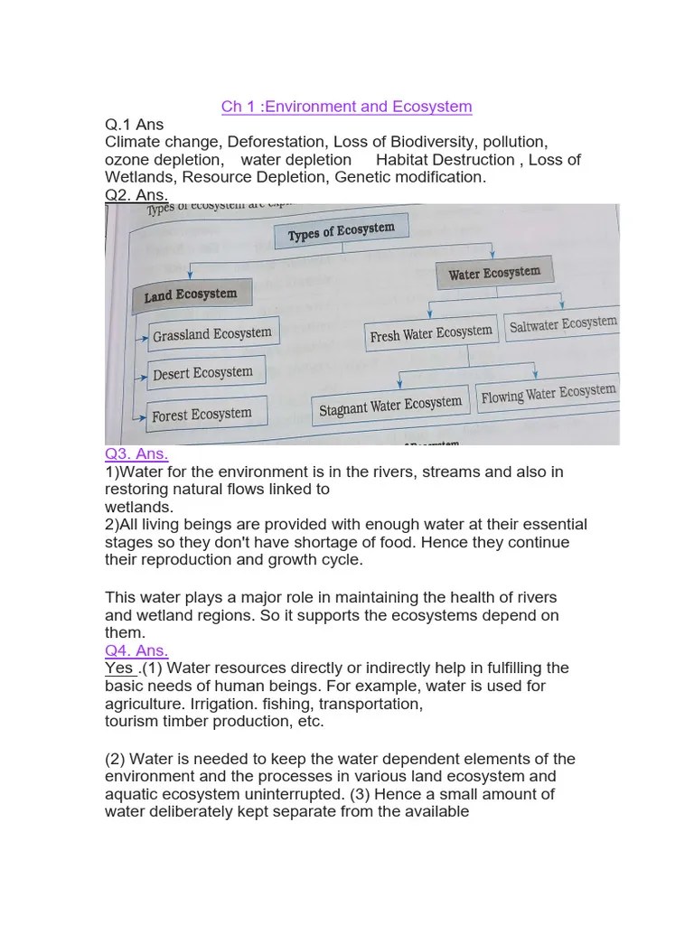 Water Security | PDF | Drinking Water | Water Purification