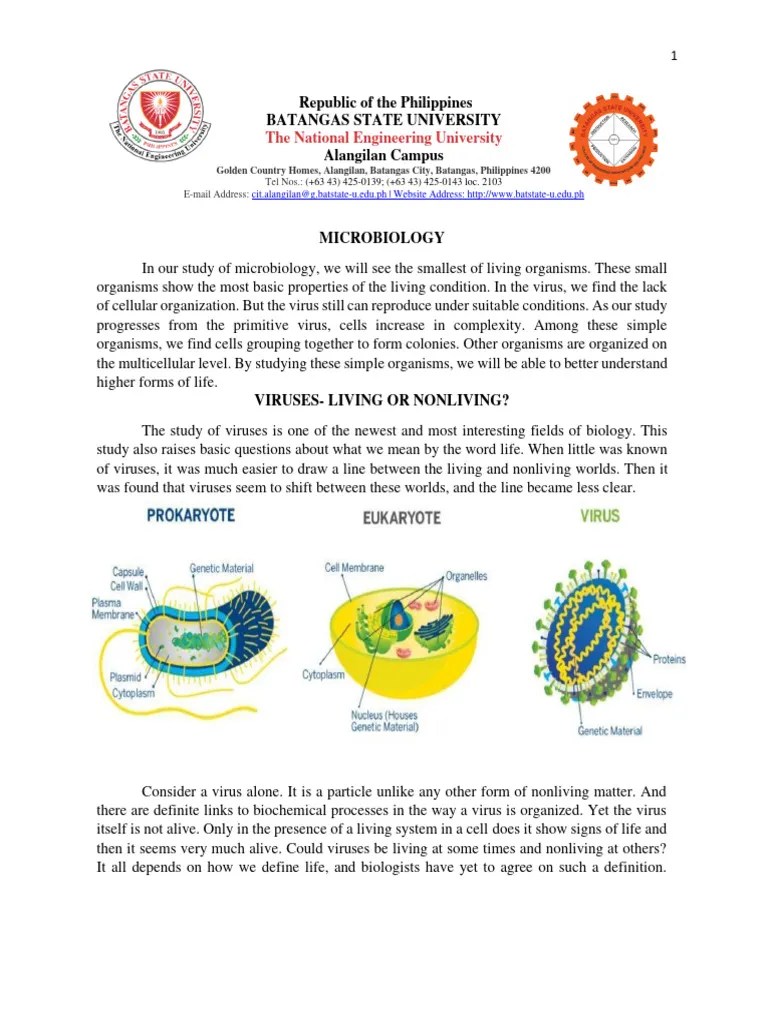 Module 2 - Microbiology | PDF | Fungus | Bacteria