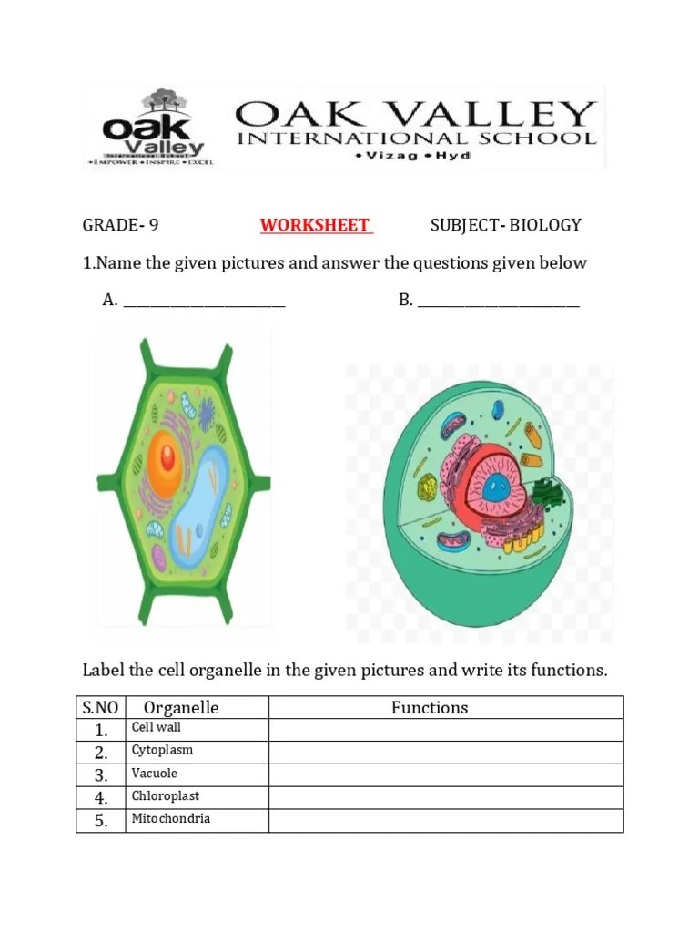 Grade 9 Biology Woksheet Pdf Career Growth