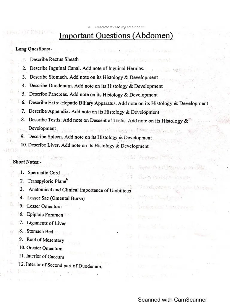 Abdomen Pelvis Pdf