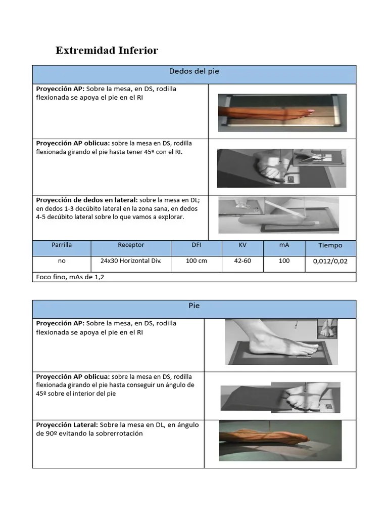 Extremidad Inferior 2 | PDF | Pelvis | Rodilla