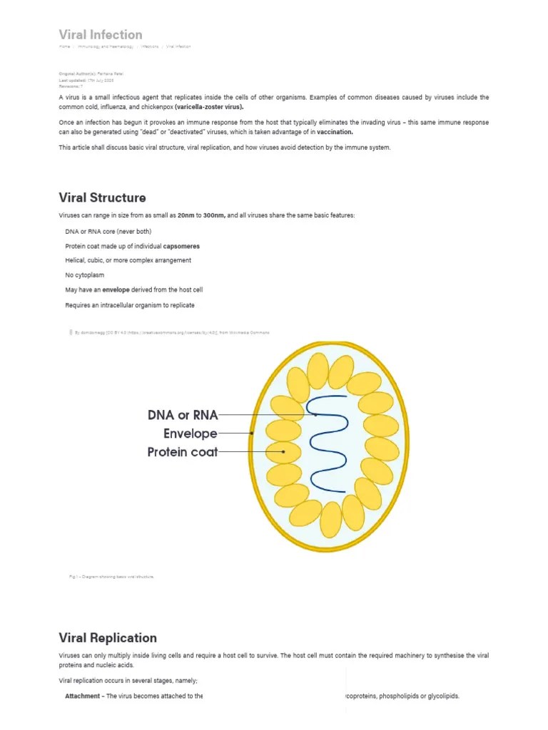 Viral Infection - Viral Structure - Viral Replication - TeachMePhysiology | PDF | Virus | Hiv