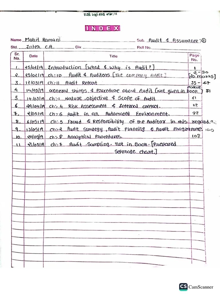 CA Inter Audit CH 10 & CH 11 | PDF
