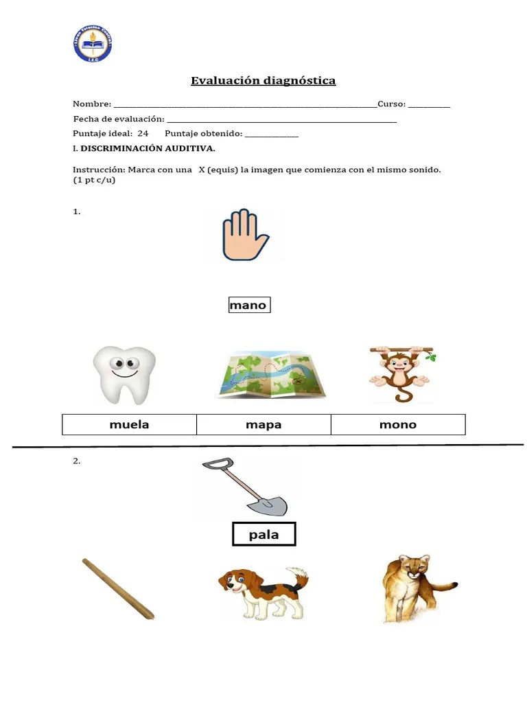 Evaluación Diagnóstica - Lectura No Lectores | PDF