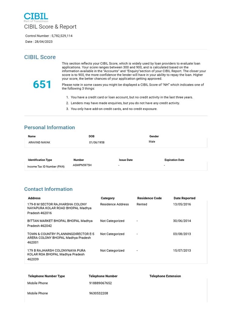 Credit Report | PDF | Credit | Finance & Money Management