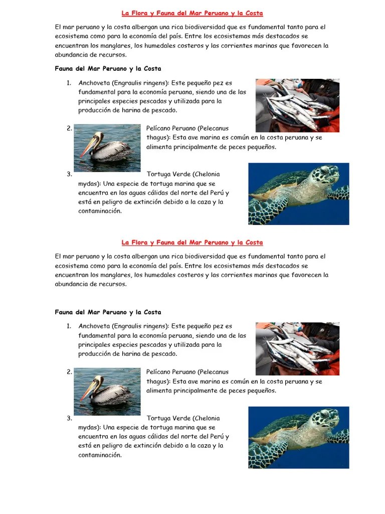La Flora Y Fauna Del Mar Peruano Y La Costa | PDF