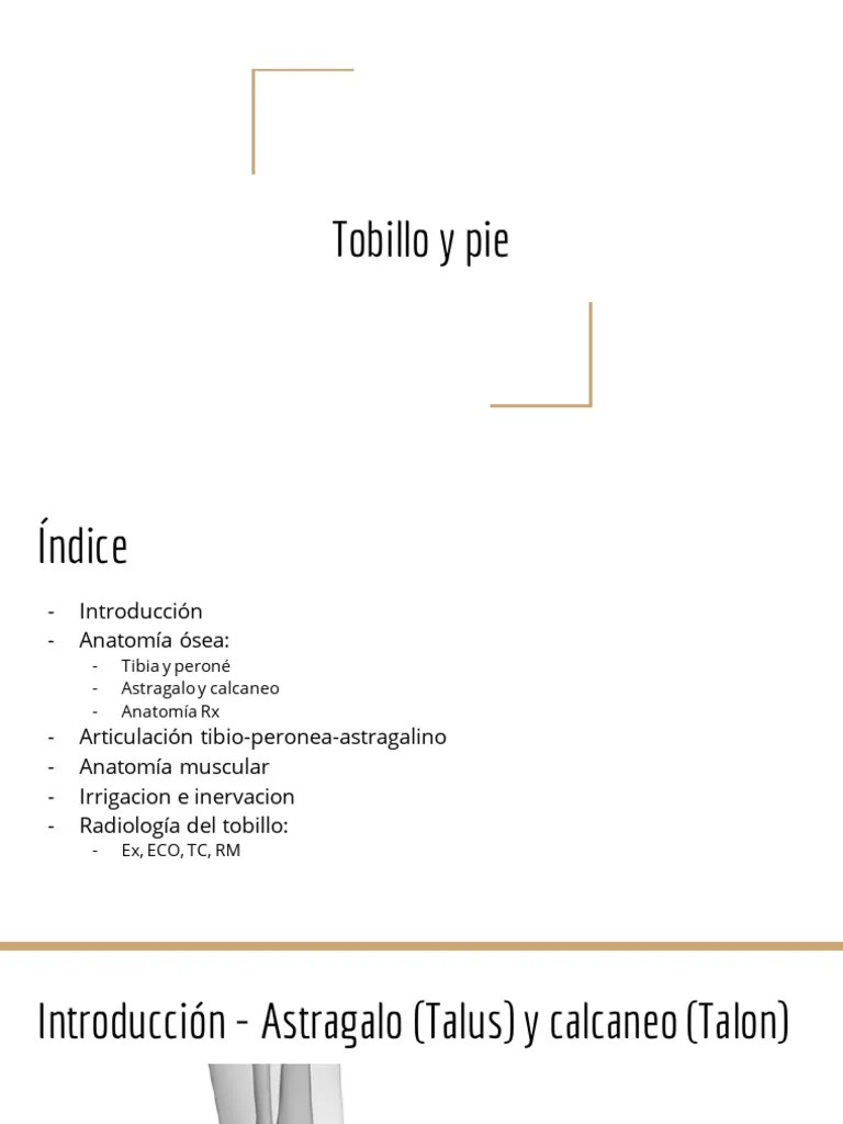 Anatomía Tobillo Y Pie | PDF | Tobillo | Pie