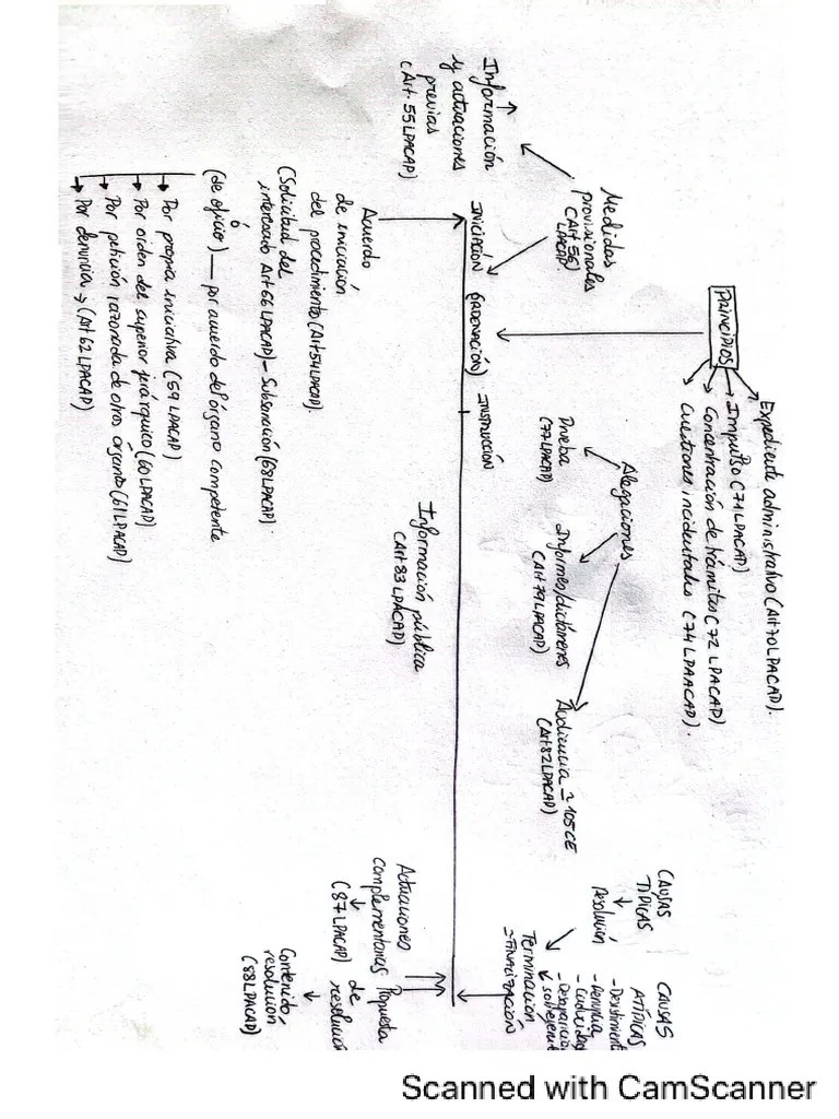 Esquema Procedimiento Administrativo | PDF