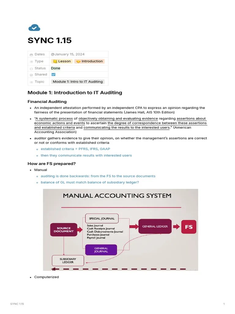 Module 1: Introduction To IT Auditing | PDF | Audit | Internal Control