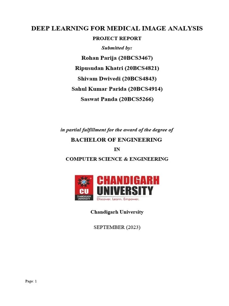 Phase 1_Deep Learning For Medical Analysis | PDF | Deep Learning ...