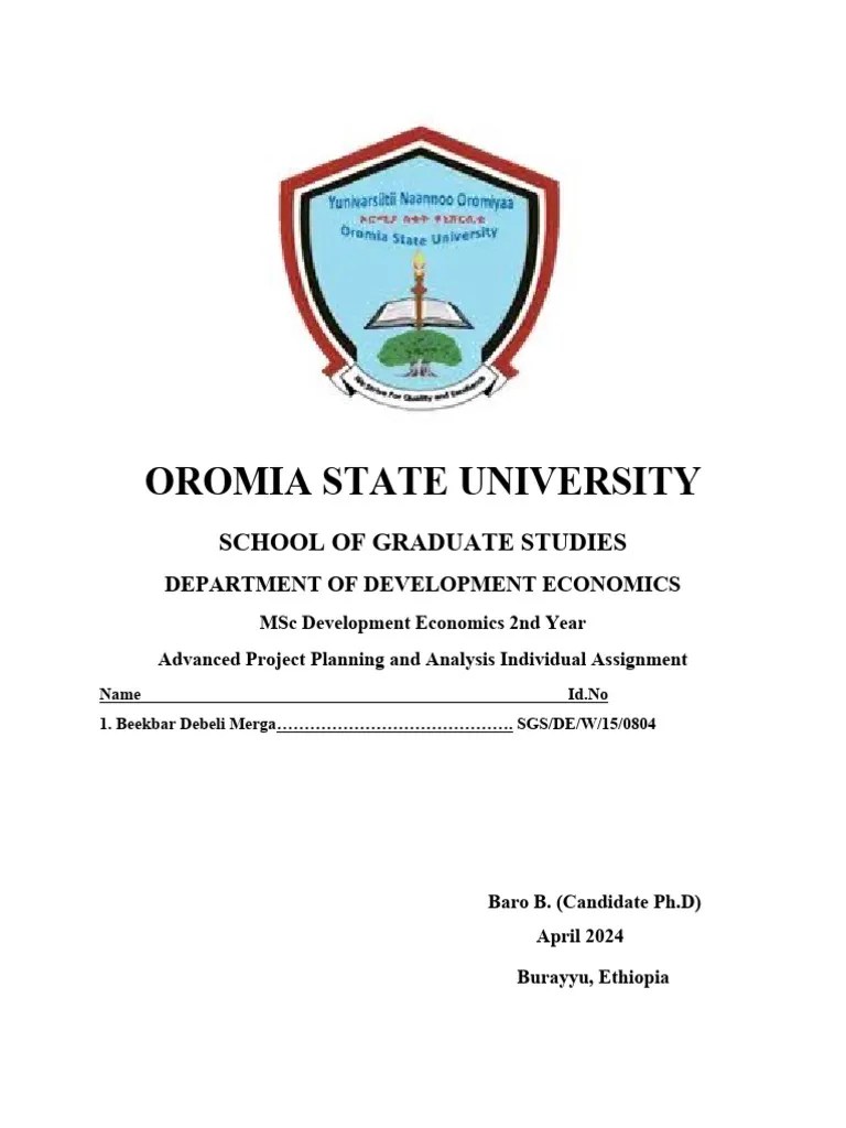 Advanced Project Planning And Analysis Individual Assignment1 ...