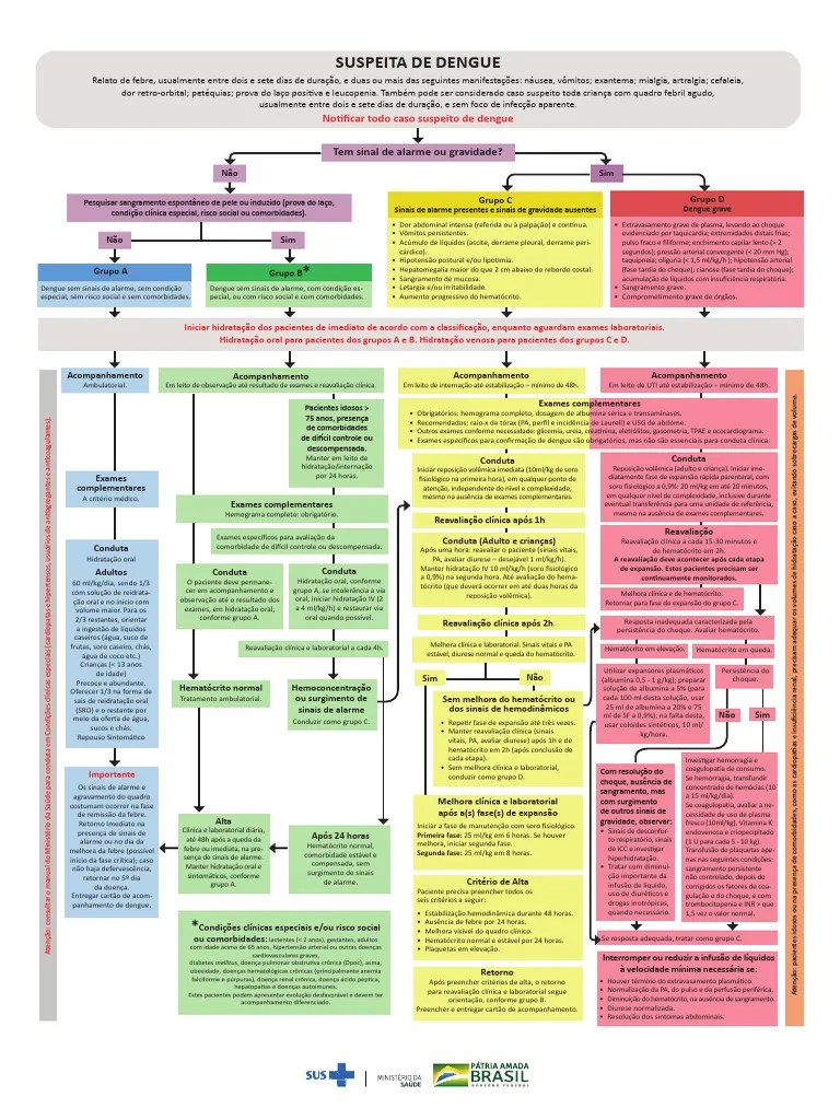 DENGUE Fluxograma Classificacao De Risco E Manejo Do Paciente | PDF ...