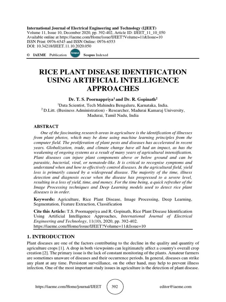 RIce Plant Disease Detection Using Different AI Approaches | PDF ...