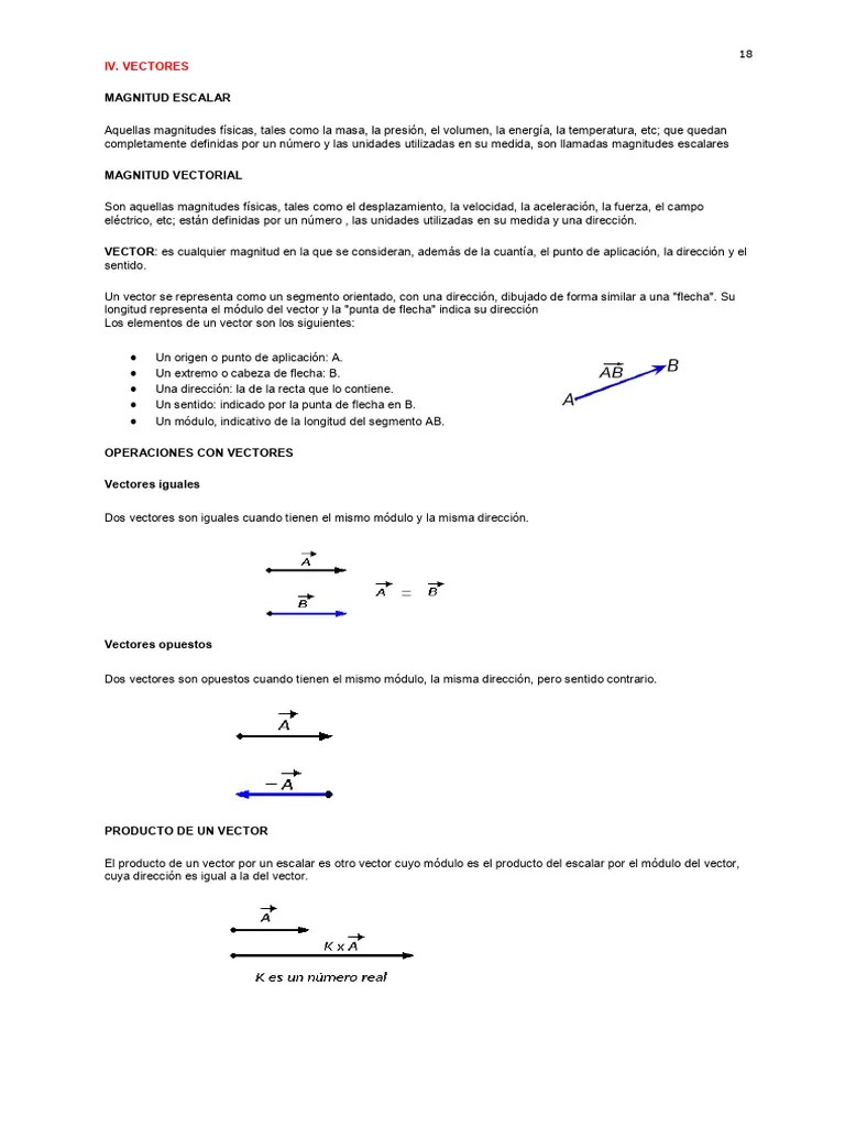 Vectores 10° | PDF | Vector Euclidiano | Escalar (Matemáticas)