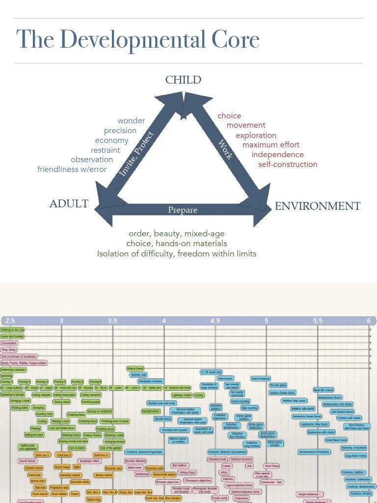 The-Montessori-Framework_Part2 | PDF | Applied Linguistics | Human Communication