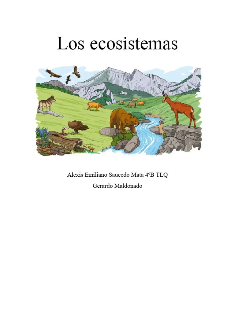 Los Ecosistemas | PDF | Desierto | Agua