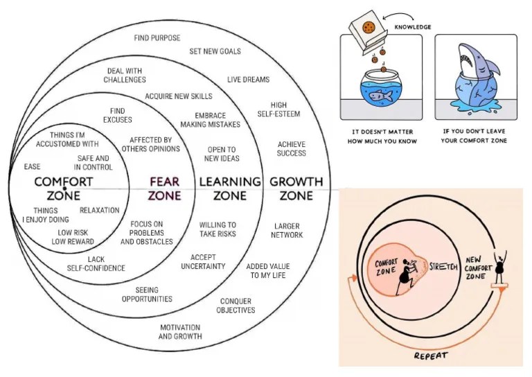Comfort Zone Pdf