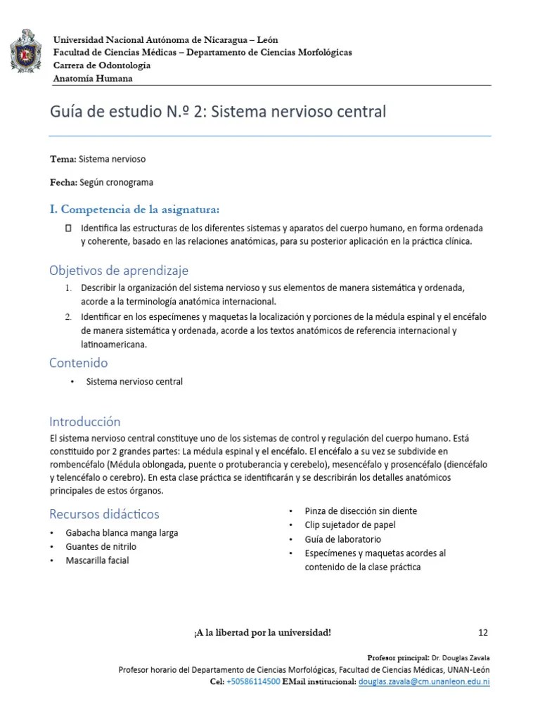 Guía 2 Sistema Nervioso Central | PDF | Sistema Nervioso Central | Cerebro