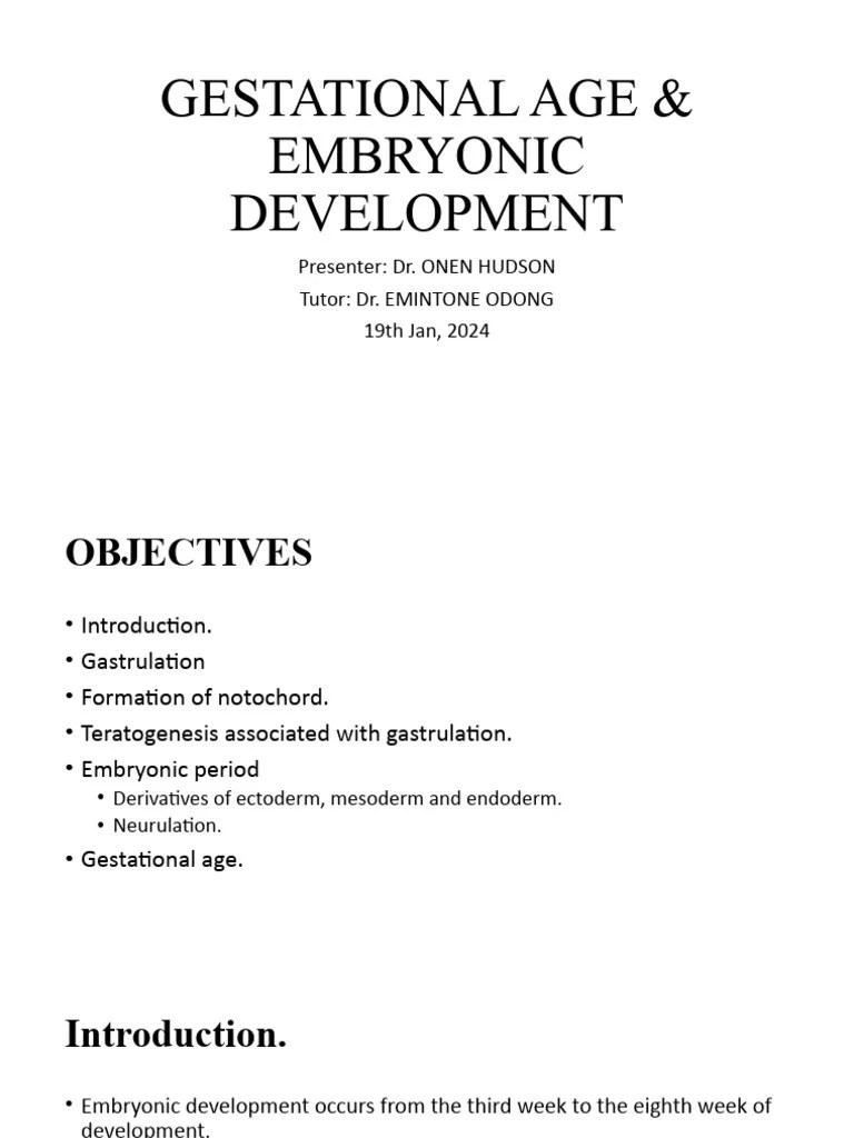 Gestational Age & Embryonic Development | PDF | Nervous System | Anatomy