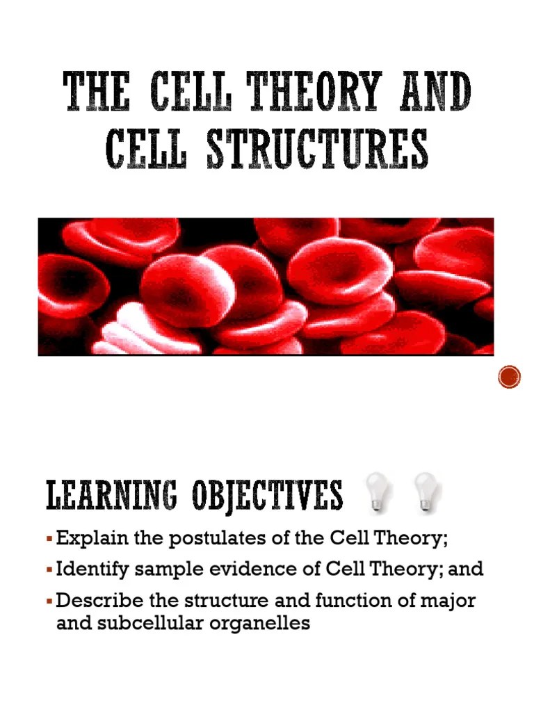 M1.Cell And Cell Theory | PDF | Cell (Biology) | Microscope