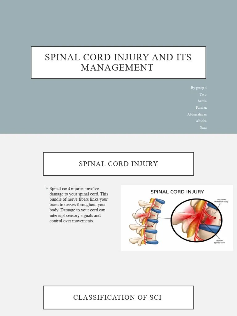 Spinal Cord Injury And Its Management-1 | PDF | Spinal Cord Injury ...