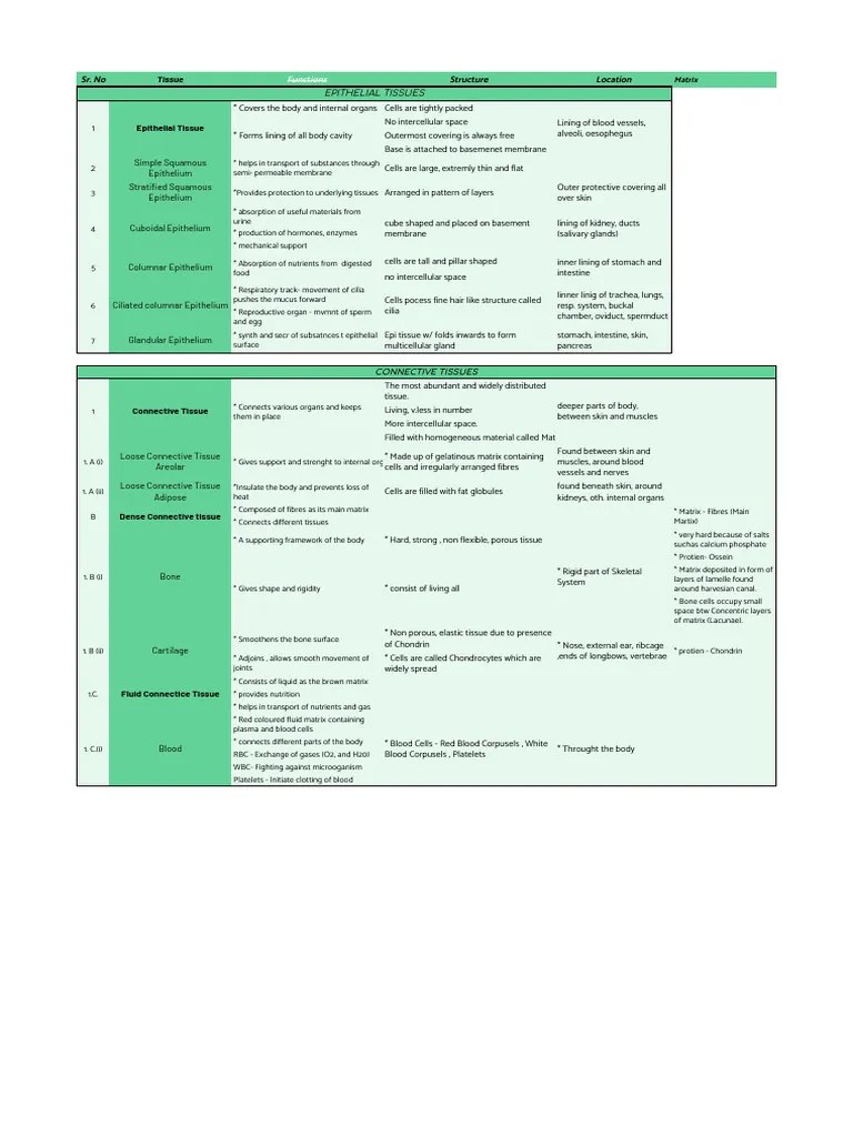 Animal Tissues (Easy To Memorise) | PDF | Epithelium | Tissue (Biology)