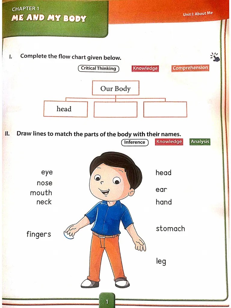 Grade 2 Evs Revision Sheet Pdf - Ultra HD Ultra HD Vintage Patterns | Free Download