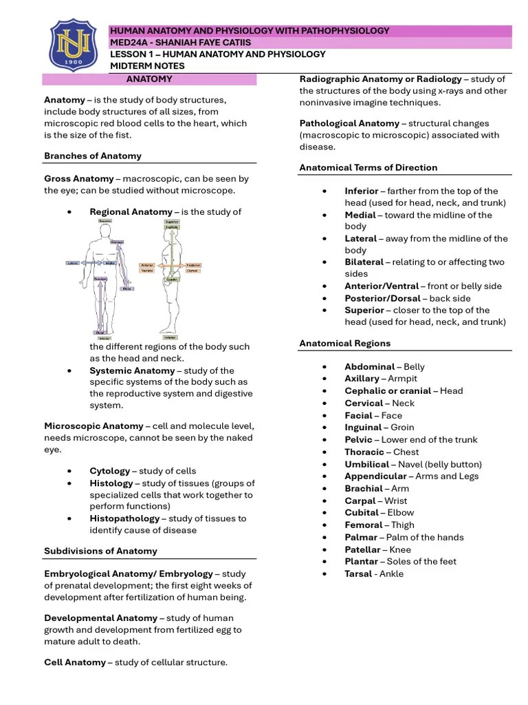 Anatomy And Physiology Lesson 1 | PDF | Anatomical Terms Of Location ...