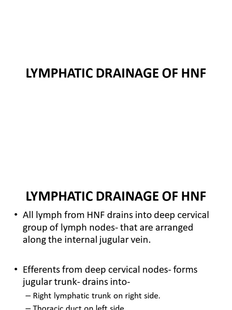 Lymphatic Drainage Of Hnf 2020_240426_110319 | PDF