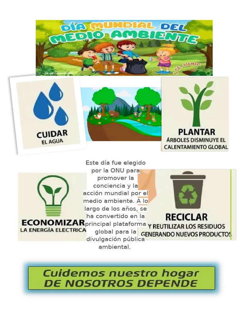 Medio Ambiente Afiche | PDF