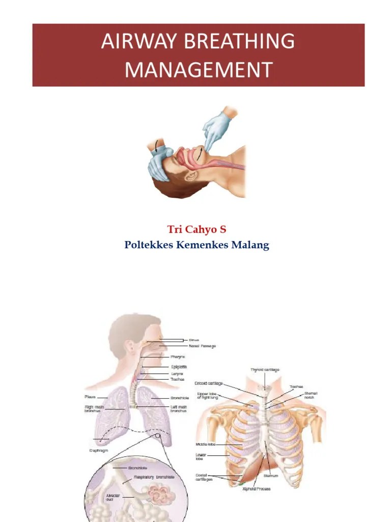 Airway Breathing Management | PDF